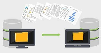 WordPress Migration Service