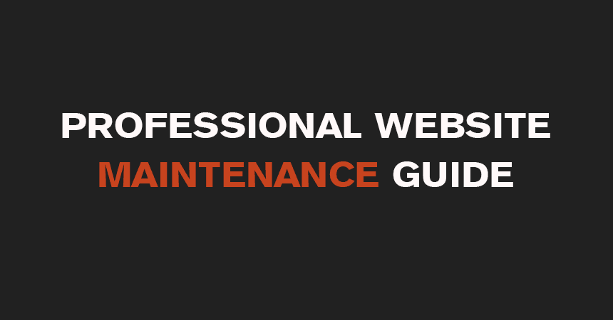 Professional Website Maintenance Guide
